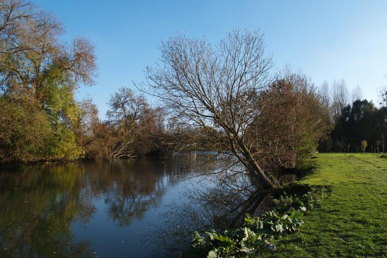 Les prairies de l'Arnon à Reuilly - Agrandir l'image 6 sur 9, fenêtre modale