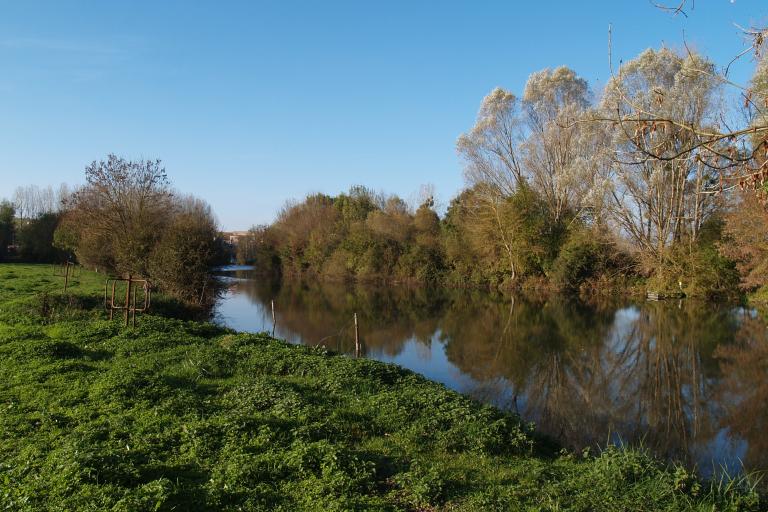 Les prairies de l'Arnon à Reuilly - Agrandir l'image 4 sur 9, fenêtre modale