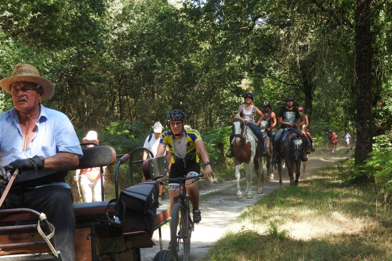 Agrandir l'image 1 sur 6, fenêtre modale