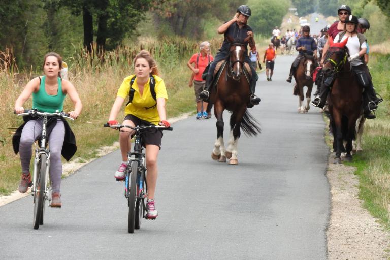 Agrandir l'image 3 sur 6, fenêtre modale