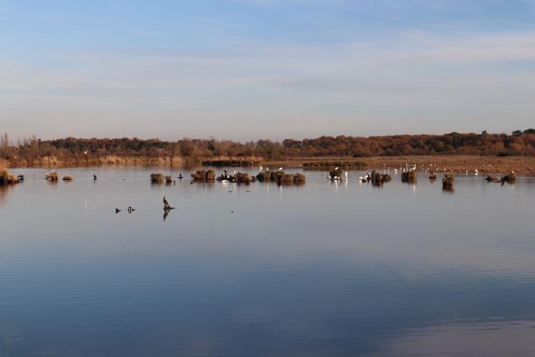 La Réserve naturelle nationale de Chérine à Saint-Michel-en-Brenne - Agrandir l'image 2 sur 9, fenêtre modale