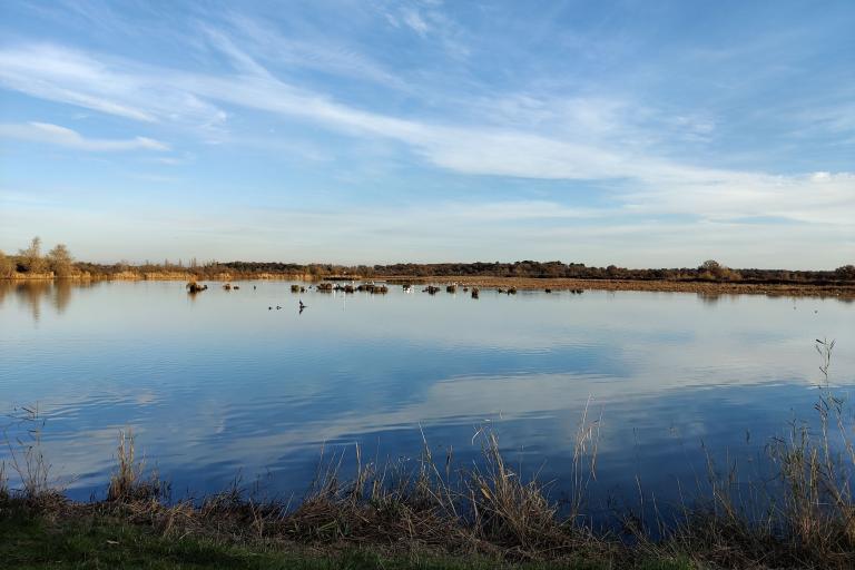 La Réserve naturelle nationale de Chérine à Saint-Michel-en-Brenne - Agrandir l'image 1 sur 9, fenêtre modale