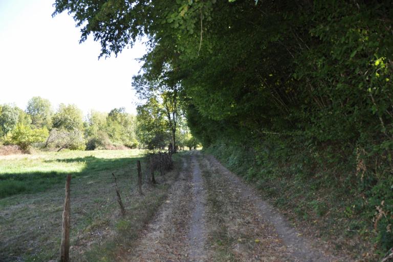 La stèle du Saint-Fleuret à Sauzelles - Agrandir l'image 1 sur 6, fenêtre modale