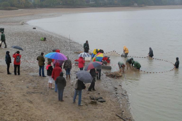 Le site de Bellebouche à Mézières-en-Brenne - Agrandir l'image 8 sur 9, fenêtre modale