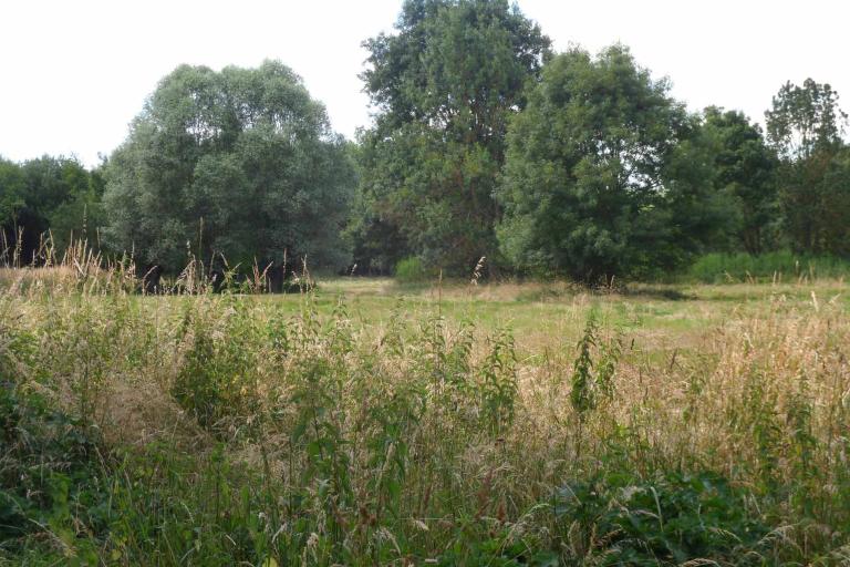 Les îles du Fouzon à Val-Fouzon - Agrandir l'image 7 sur 9, fenêtre modale