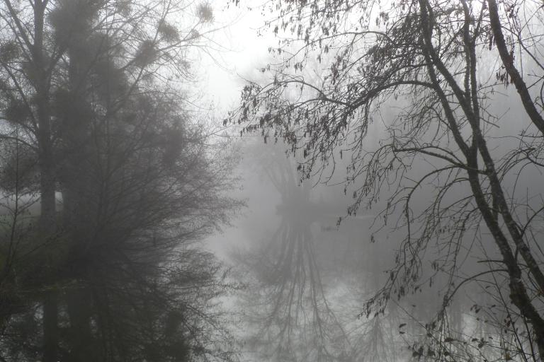 Les prés du canal à Mézières-en-Brenne - Agrandir l'image 7 sur 9, fenêtre modale