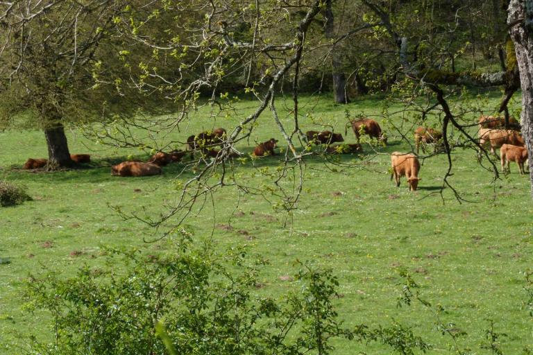 Le moulin de Seillant à Chaillac - Agrandir l'image 6 sur 9, fenêtre modale