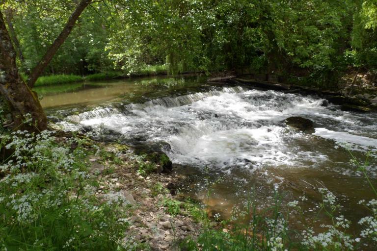 Prairies et ballastières de l'Indre à Saint-Maur - Agrandir l'image 1 sur 6, fenêtre modale