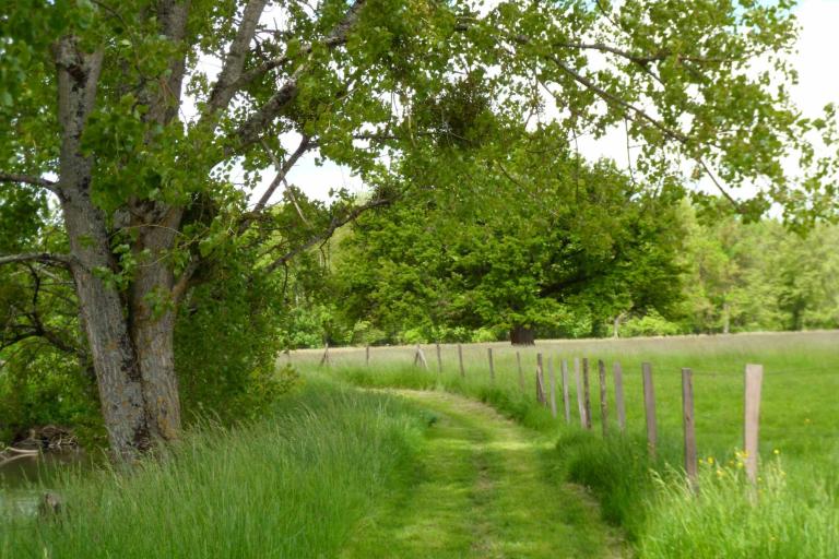 Prairies et ballastières de l'Indre à Saint-Maur - Agrandir l'image 6 sur 6, fenêtre modale