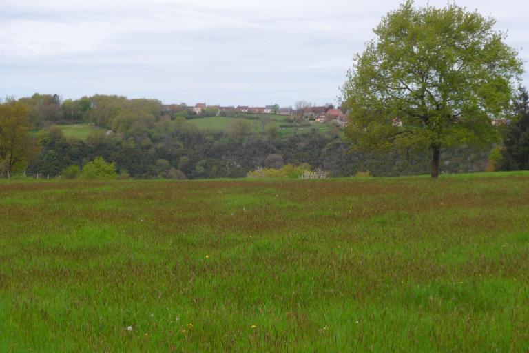 La boucle du Pin à Badecon-le-Pin - Agrandir l'image 8 sur 9, fenêtre modale