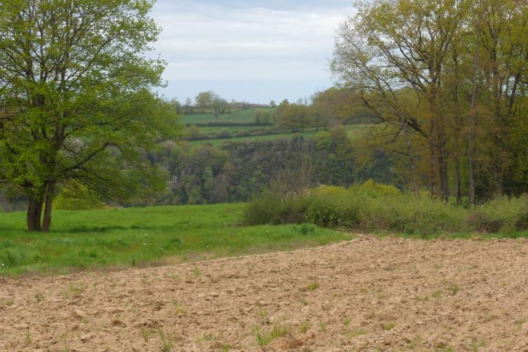La boucle du Pin à Badecon-le-Pin - Agrandir l'image 9 sur 9, fenêtre modale