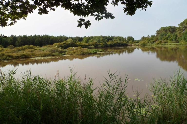 Le site de Bellebouche à Mézières-en-Brenne - Agrandir l'image 1 sur 9, fenêtre modale