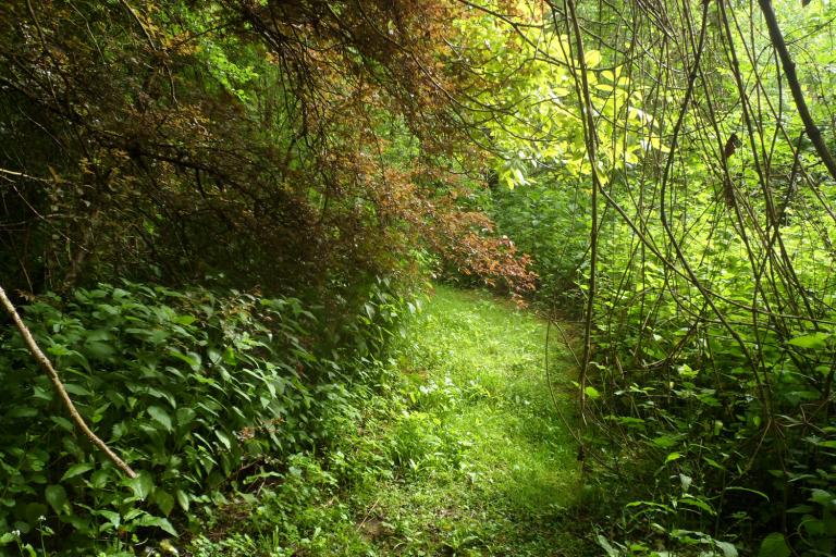 L'île du moulin - Agrandir l'image 2 sur 9, fenêtre modale