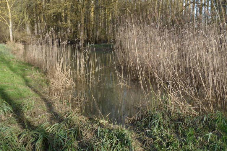 Les îles du Fouzon à Val-Fouzon - Agrandir l'image 8 sur 9, fenêtre modale