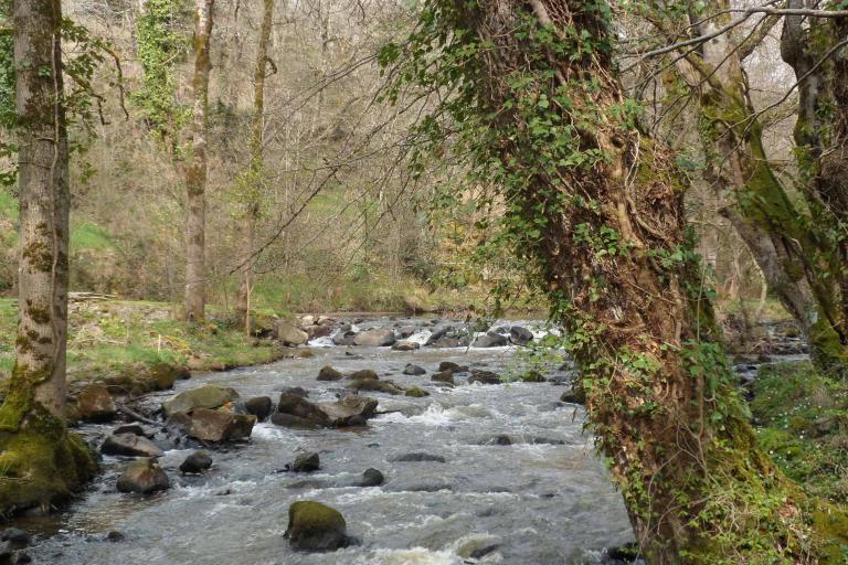 Le moulin de Seillant à Chaillac - Agrandir l'image 2 sur 9, fenêtre modale