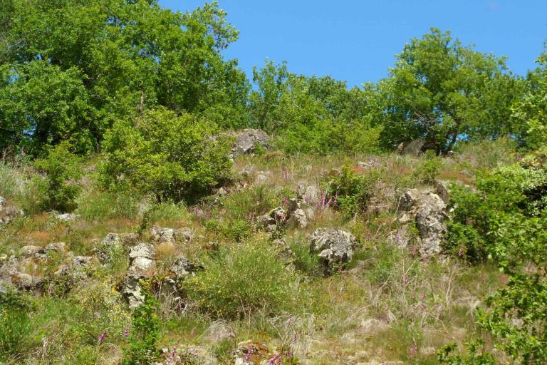 Le moulin de Seillant à Chaillac - Agrandir l'image 3 sur 9, fenêtre modale