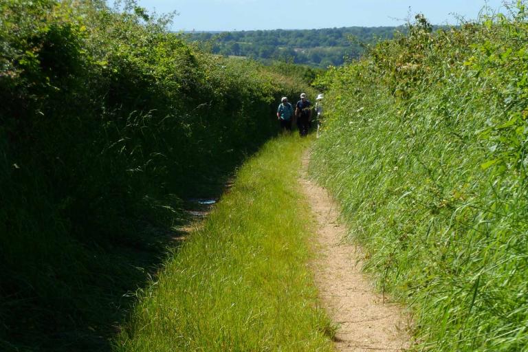 Le moulin de Seillant à Chaillac - Agrandir l'image 4 sur 9, fenêtre modale