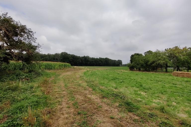 Sentier découverte Benjamin Rabier - Agrandir l'image 3 sur 3, fenêtre modale
