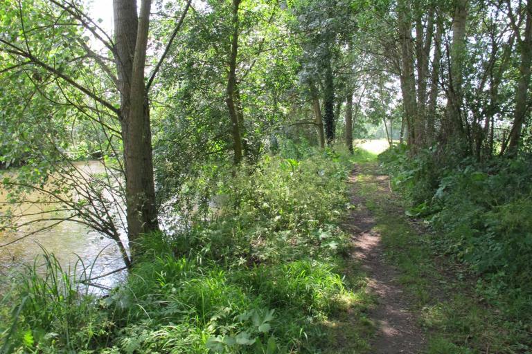 Prairies et ballastières de l'Indre à Saint-Maur - Agrandir l'image 3 sur 6, fenêtre modale