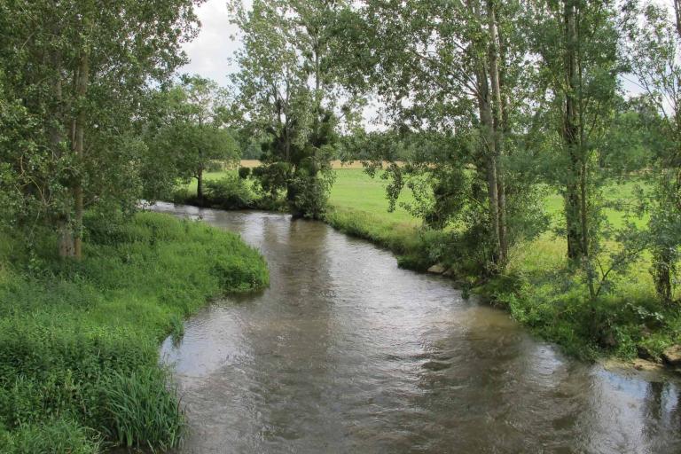 Prairies et ballastières de l'Indre à Saint-Maur - Agrandir l'image 2 sur 6, fenêtre modale