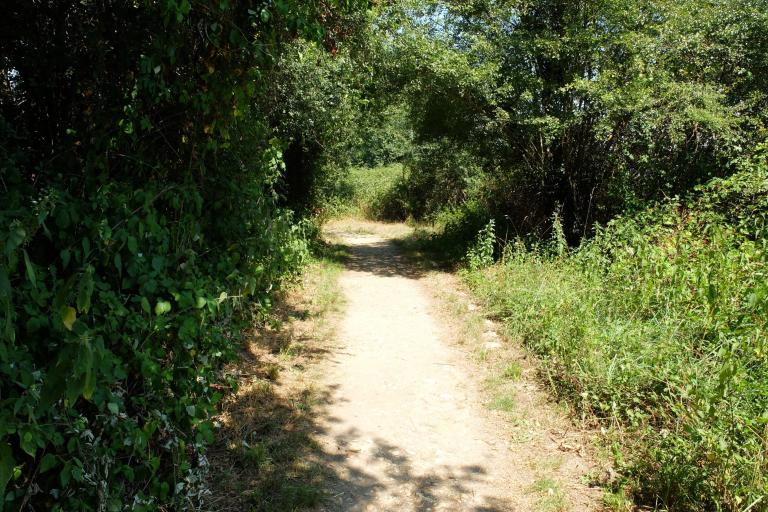La Réserve naturelle nationale de Chérine à Saint-Michel-en-Brenne - Agrandir l'image 8 sur 9, fenêtre modale