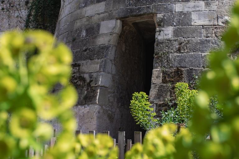 La tour de César à Châtillon-sur-Indre - Agrandir l'image 4 sur 6, fenêtre modale