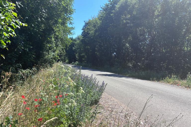Agrandir l'image 7 sur 9, fenêtre modale