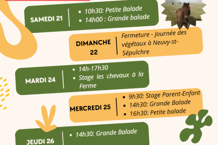 Agrandir l'image 5 sur 5, fenêtre modale