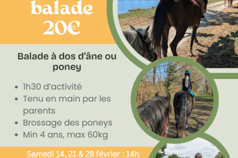 Agrandir l'image 1 sur 5, fenêtre modale