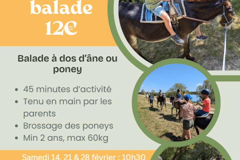 Agrandir l'image 2 sur 5, fenêtre modale