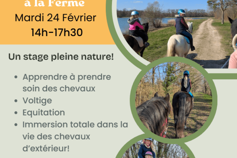 Agrandir l'image 3 sur 5, fenêtre modale