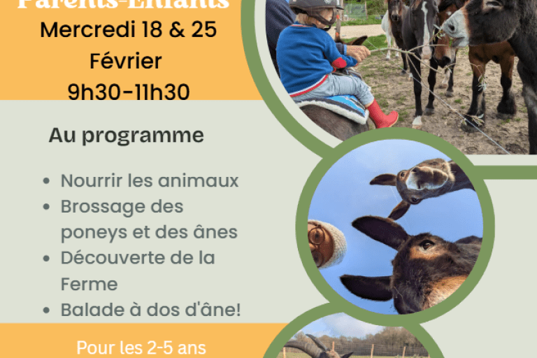 Agrandir l'image 4 sur 5, fenêtre modale