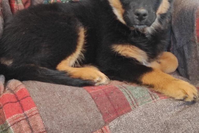 Agrandir l'image 1 sur 8, fenêtre modale