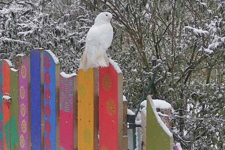 Agrandir l'image 4 sur 8, fenêtre modale
