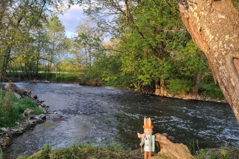 Agrandir l'image 1 sur 3, fenêtre modale