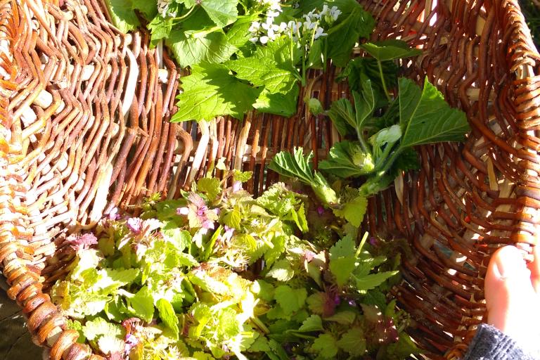 Agrandir l'image 1 sur 2, fenêtre modale