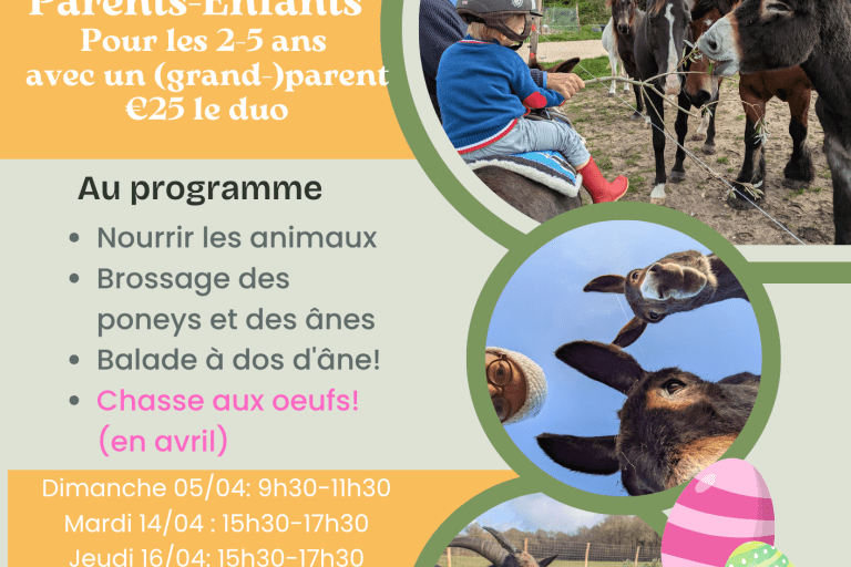 Agrandir l'image 4 sur 6, fenêtre modale