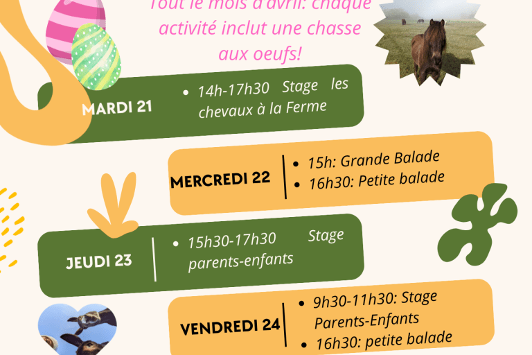 Agrandir l'image 1 sur 6, fenêtre modale