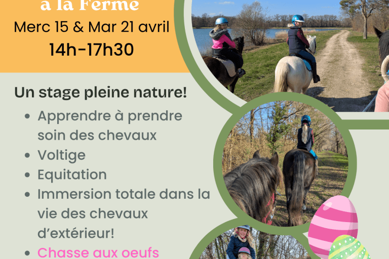 Agrandir l'image 5 sur 6, fenêtre modale