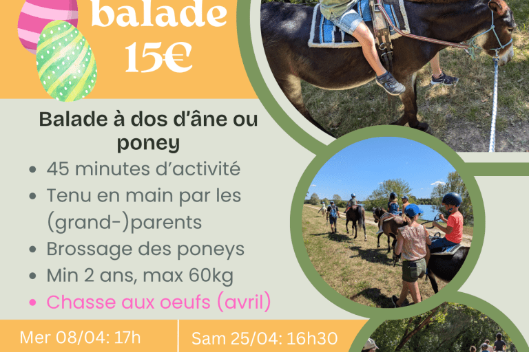 Agrandir l'image 6 sur 6, fenêtre modale