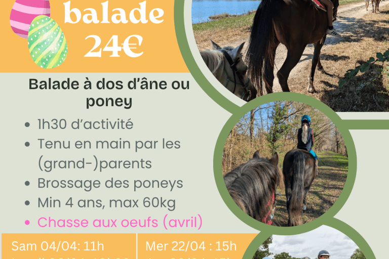 Agrandir l'image 3 sur 6, fenêtre modale