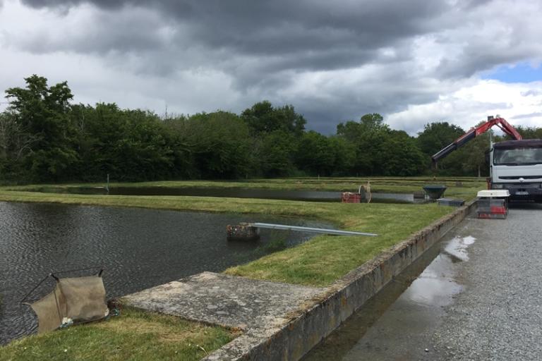 Agrandir l'image 3 sur 3, fenêtre modale