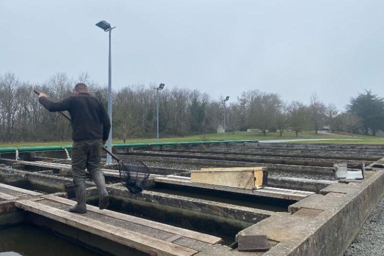 Agrandir l'image 2 sur 3, fenêtre modale