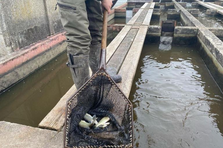 Agrandir l'image 1 sur 3, fenêtre modale