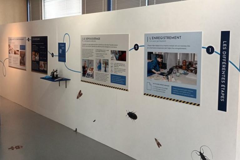 Agrandir l'image 3 sur 4, fenêtre modale